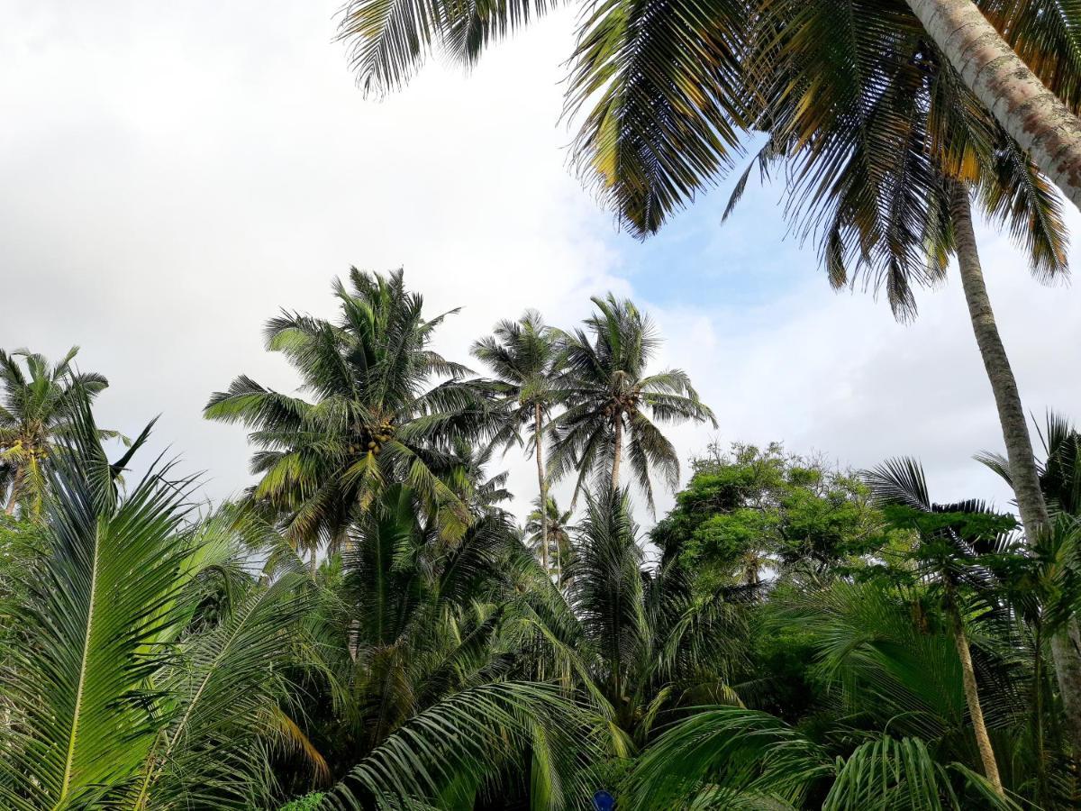 Chao Beach Villa Ahangama Exterior photo